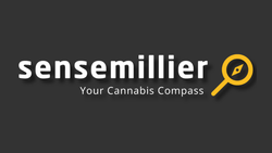 Collection of Urbanistic is now Sensemillier in a gallery layout