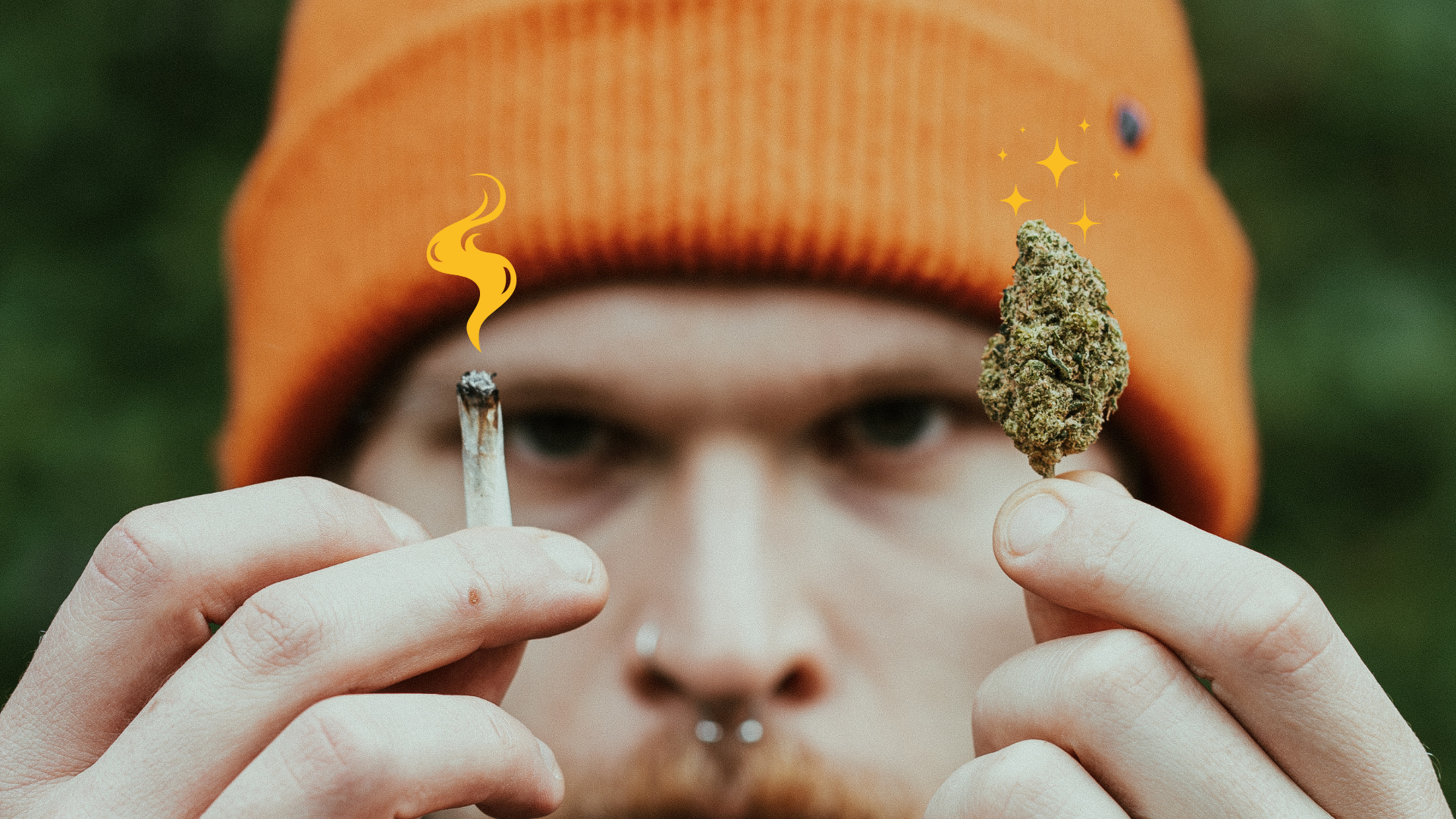 Collection of How do you become a Cannabis Sensemillier? in a gallery layout