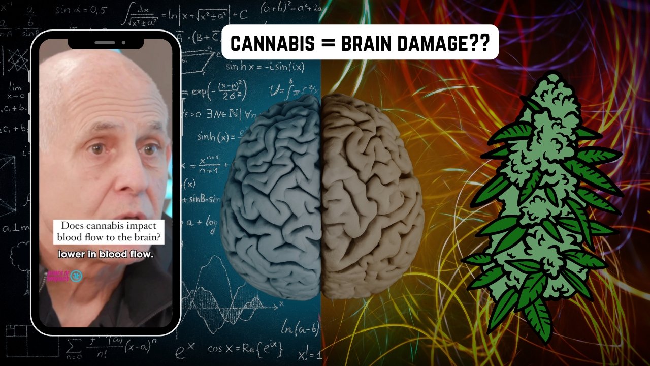 Collection of Debunking the Cannabis-Brain Damage Myth: A Closer Look at the Research - Urbanistic Canada in a gallery layout