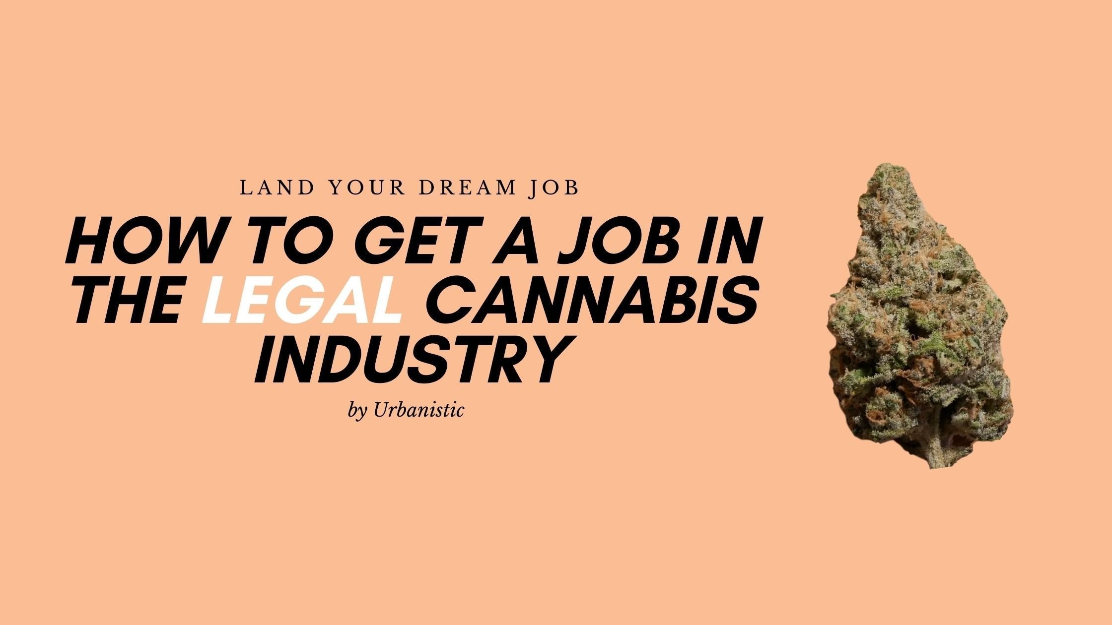 Collection of How to get a job in the cannabis industry - Urbanistic Canada in a gallery layout