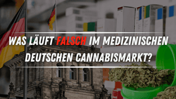 🇩🇪 Was läuft falsch im medizinischen, deutschen Cannabismarkt? - Urbanistic Canada