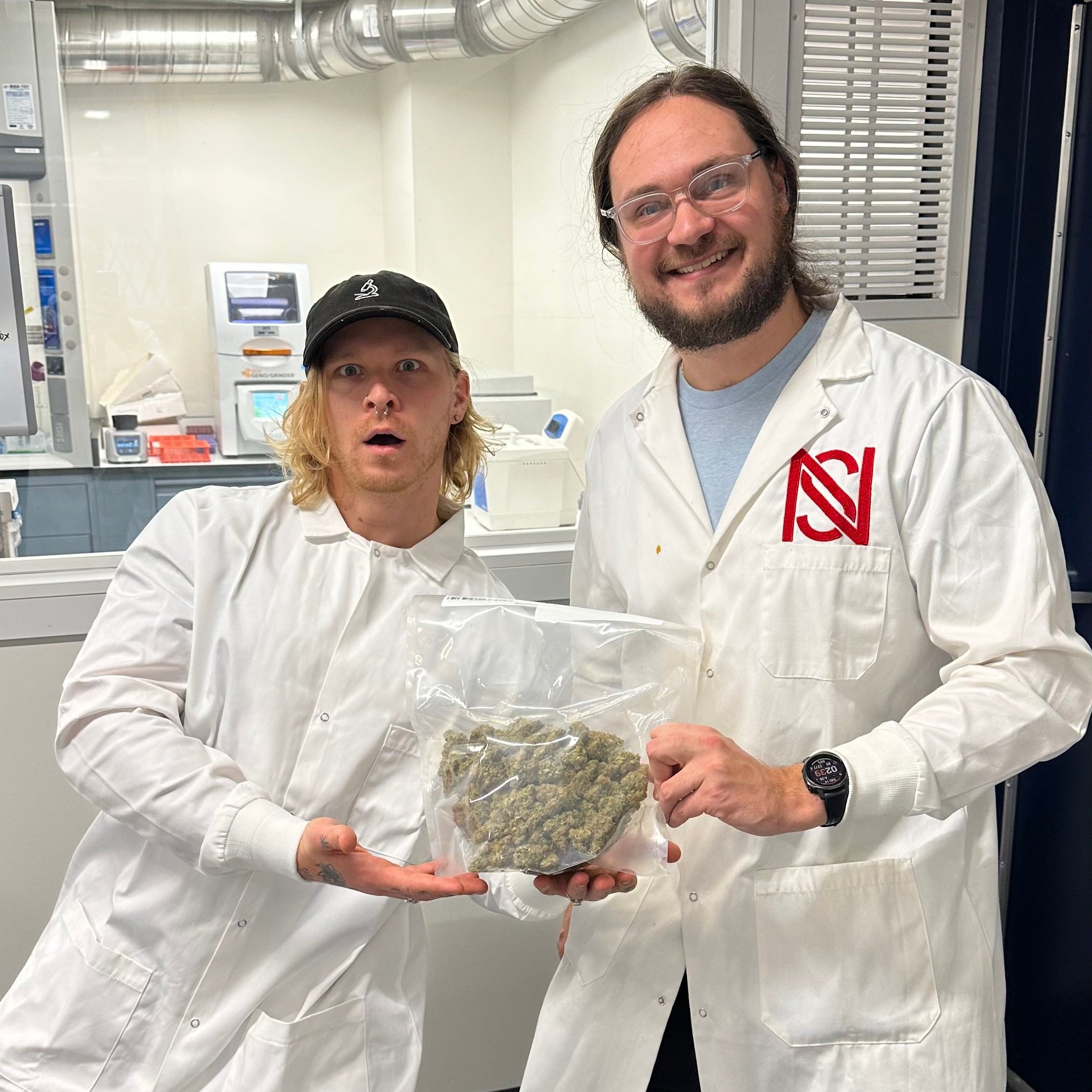 Collection of  in a gallery layout