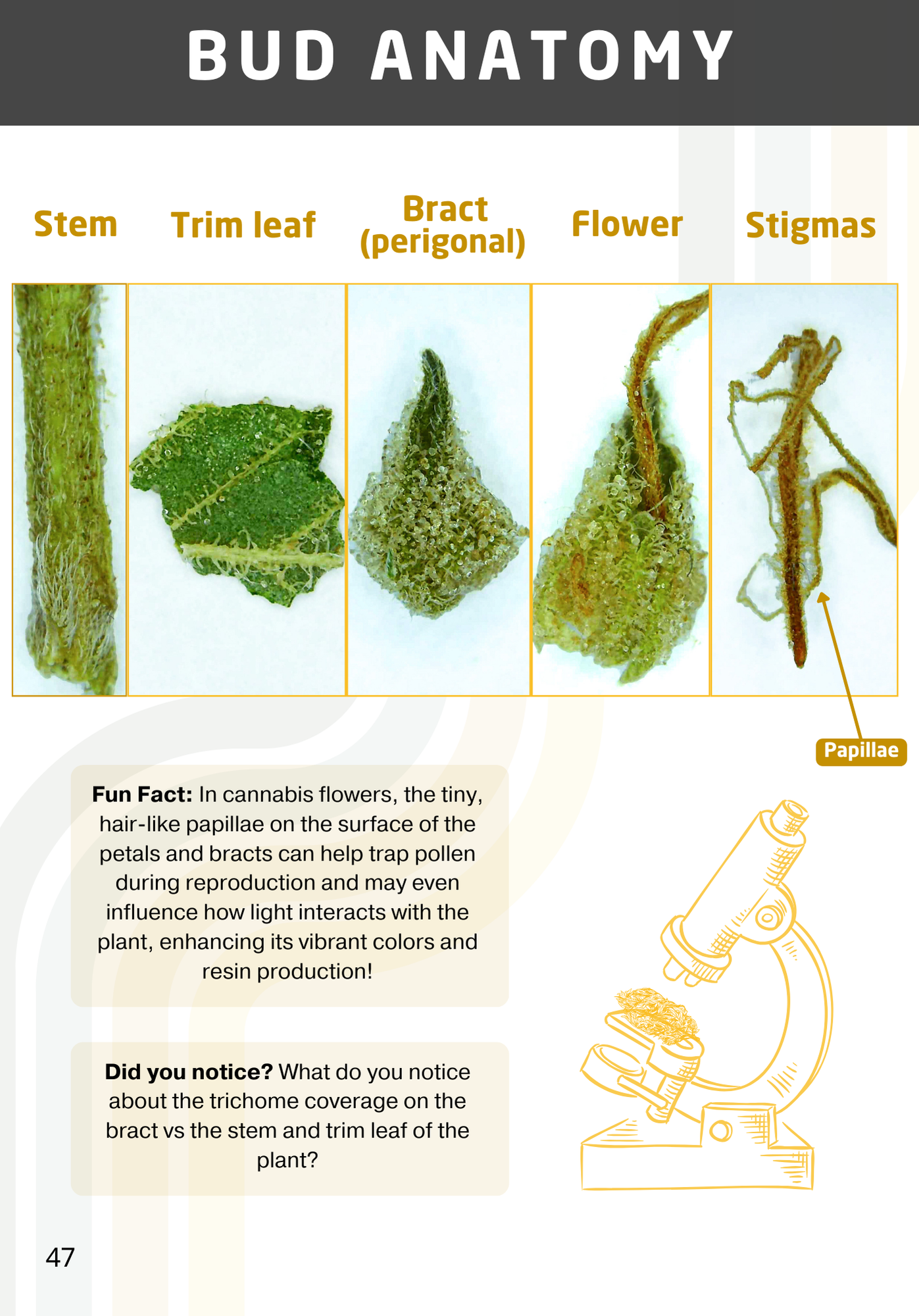 Collection of Sensemillier Grading Book in a gallery layout