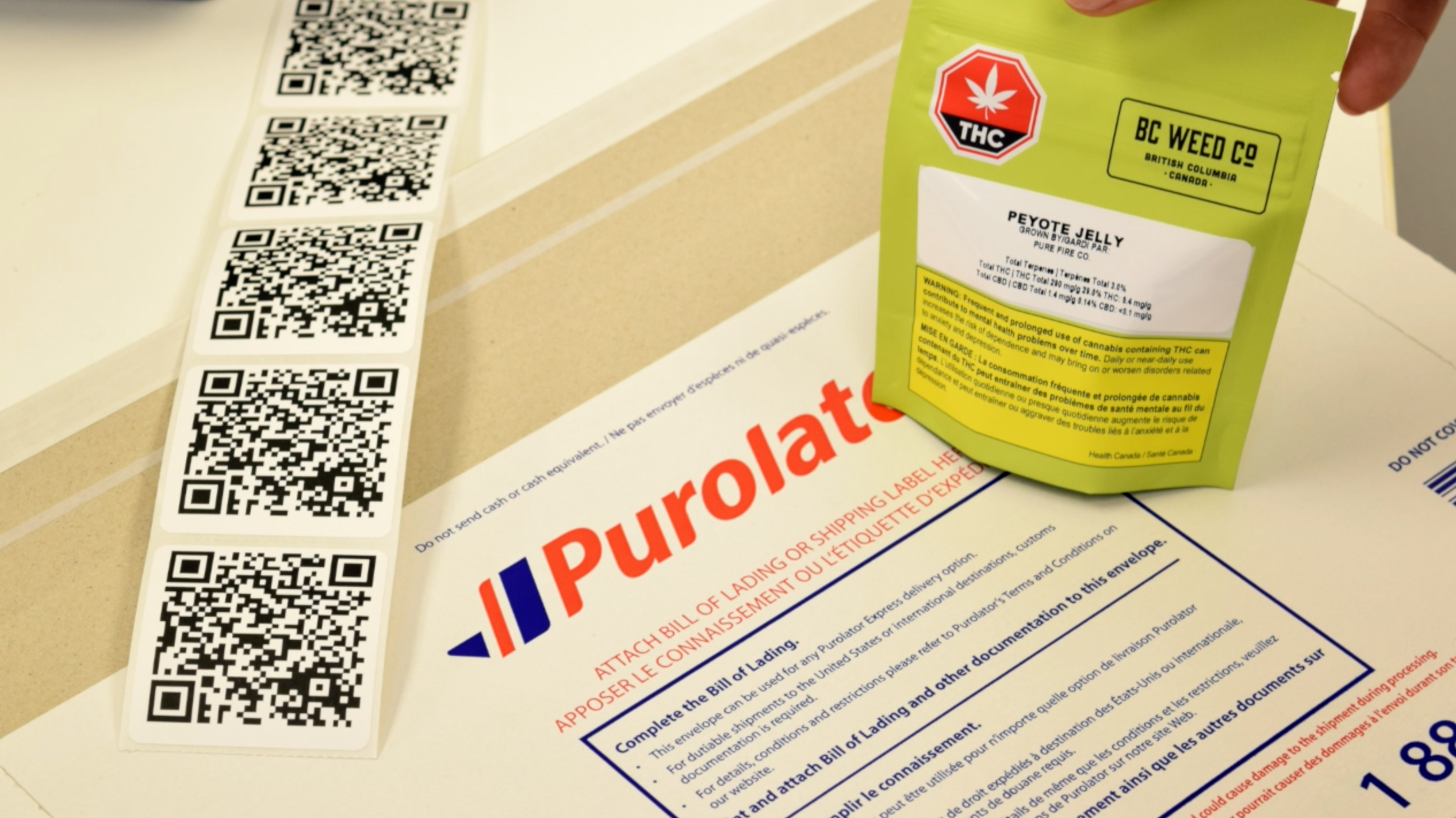 Collection of  in a gallery layout