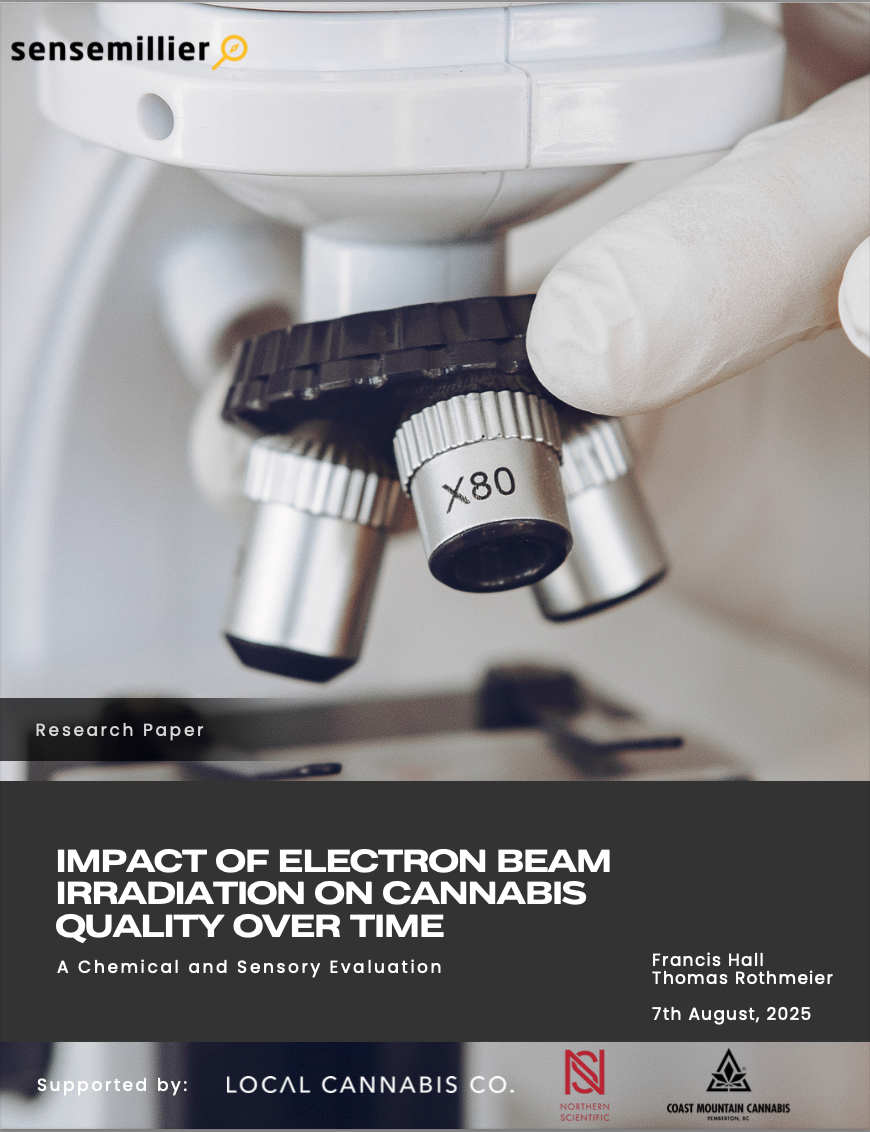 Collection of Sensemillier in a gallery layout