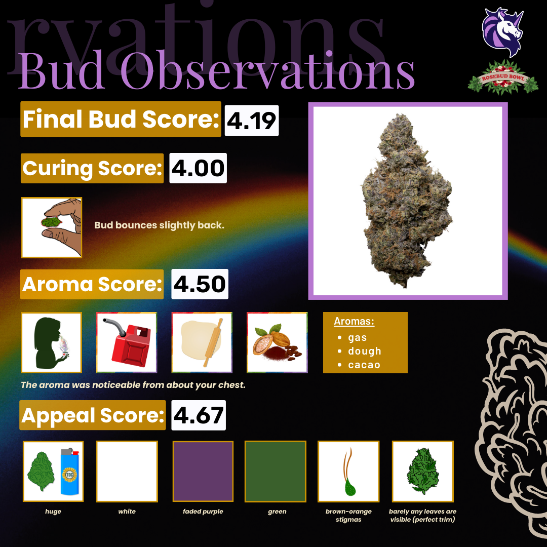 Collection of  in a gallery layout