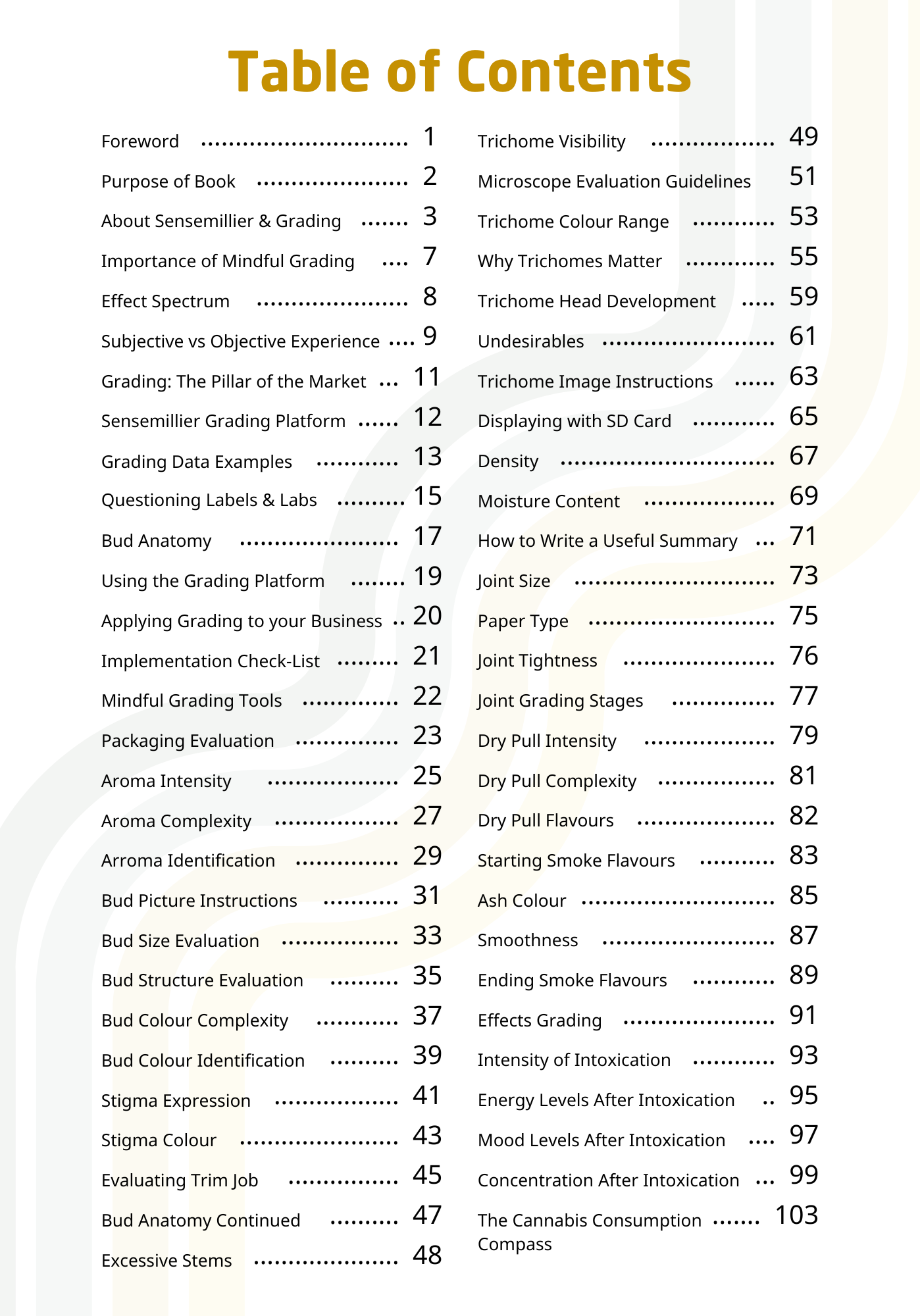 Sensemillier Grading Book