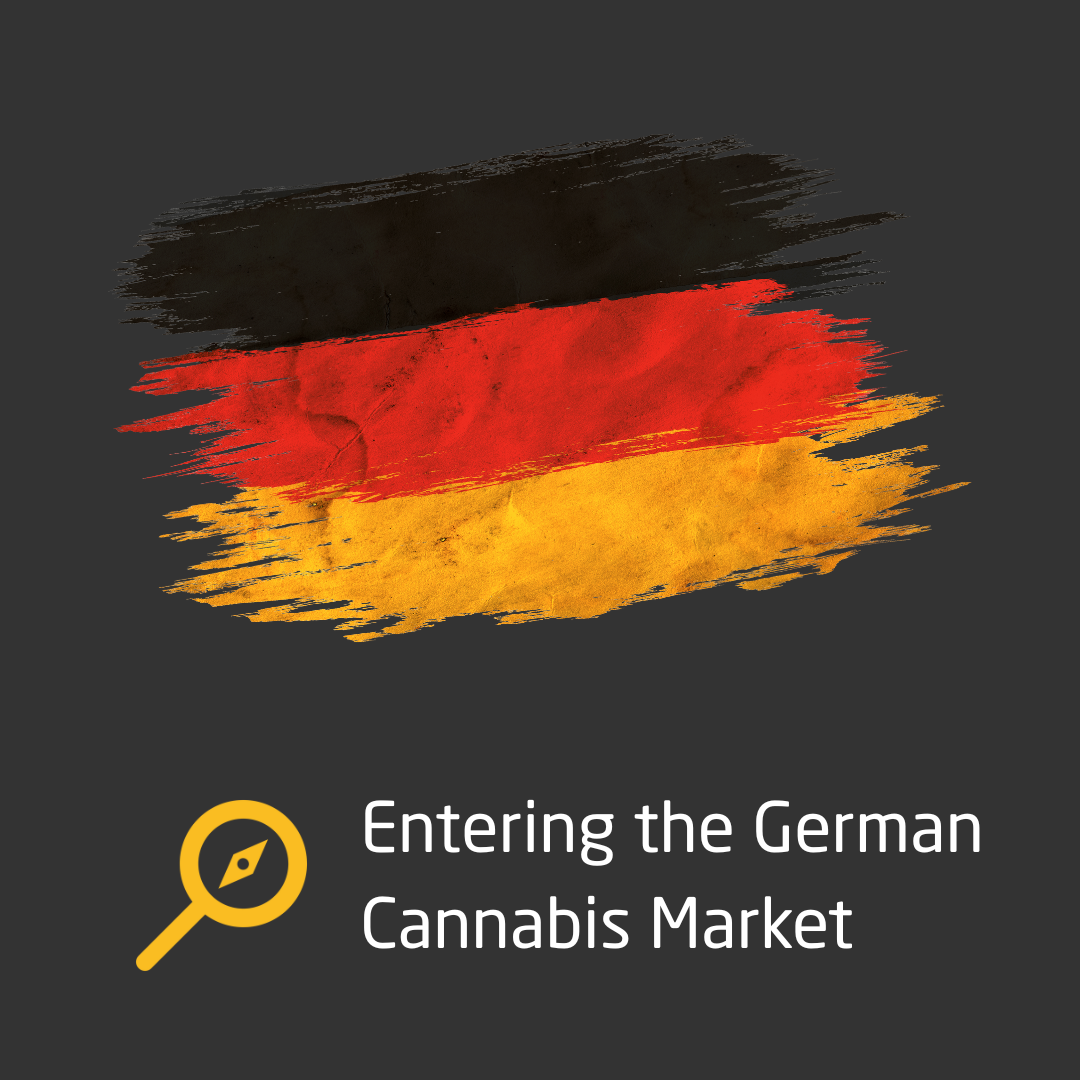 Collection of  in a gallery layout