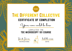 Collection of English TDC Cannabis Microscopy Course (online) 🔬 🌻 - Urbanistic Canada in a gallery layout