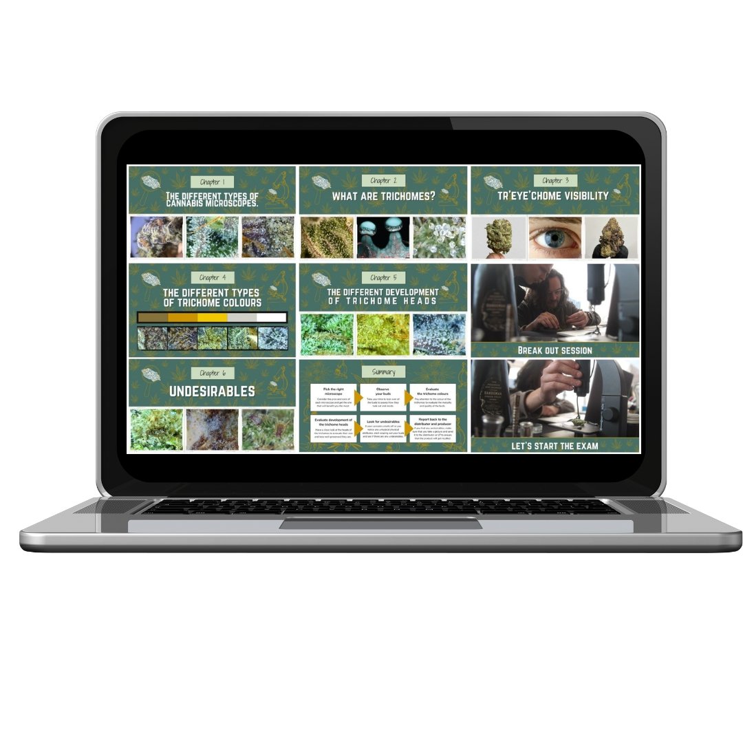 Collection of English TDC Cannabis Microscopy Course (online) 🔬 🌻 - Urbanistic Canada in a gallery layout